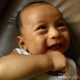 Gibran Al Khalifi Wibowo